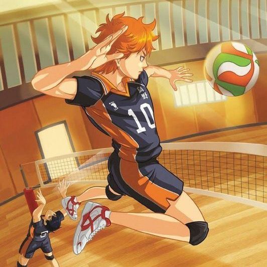 volleyball_asian