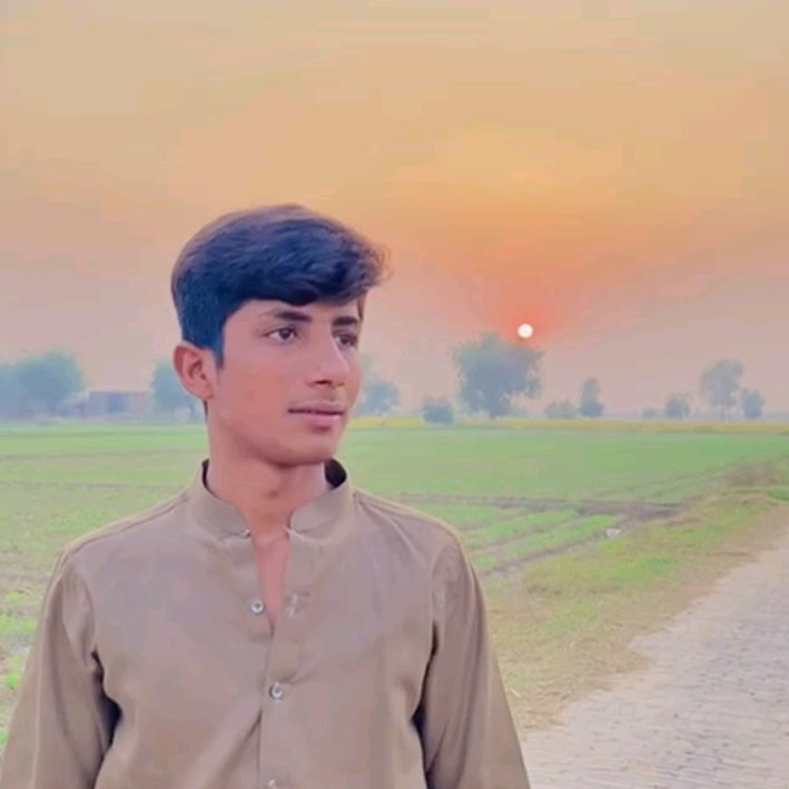 zidii.saroya