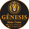 genesis_elegancia