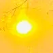 raw_cml