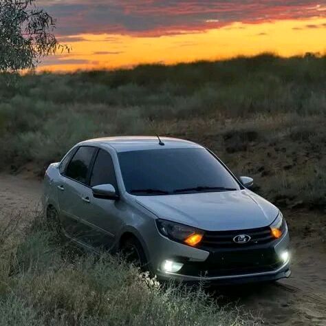 rodion3229