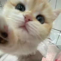 titiuoi_25