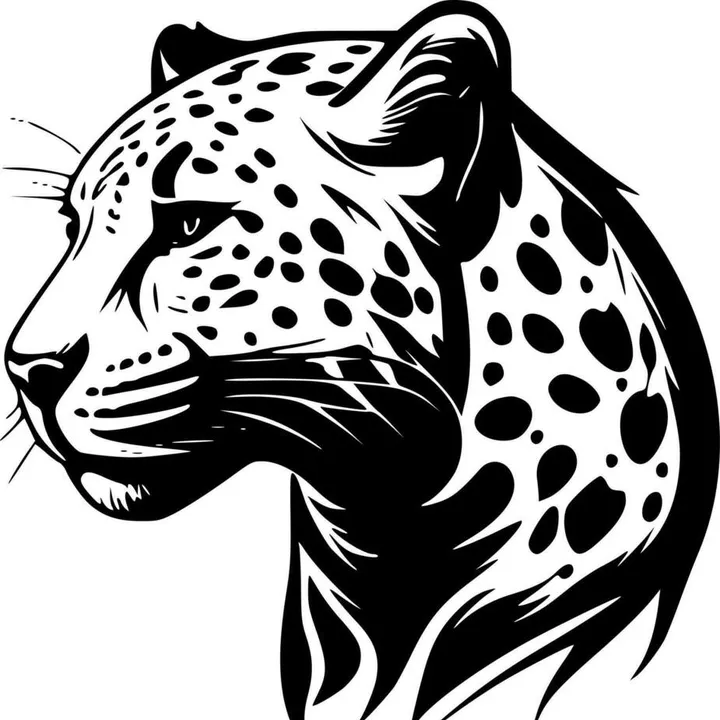 leopard_dz