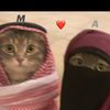 ayeshabilal113