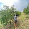 ris_magrsng6