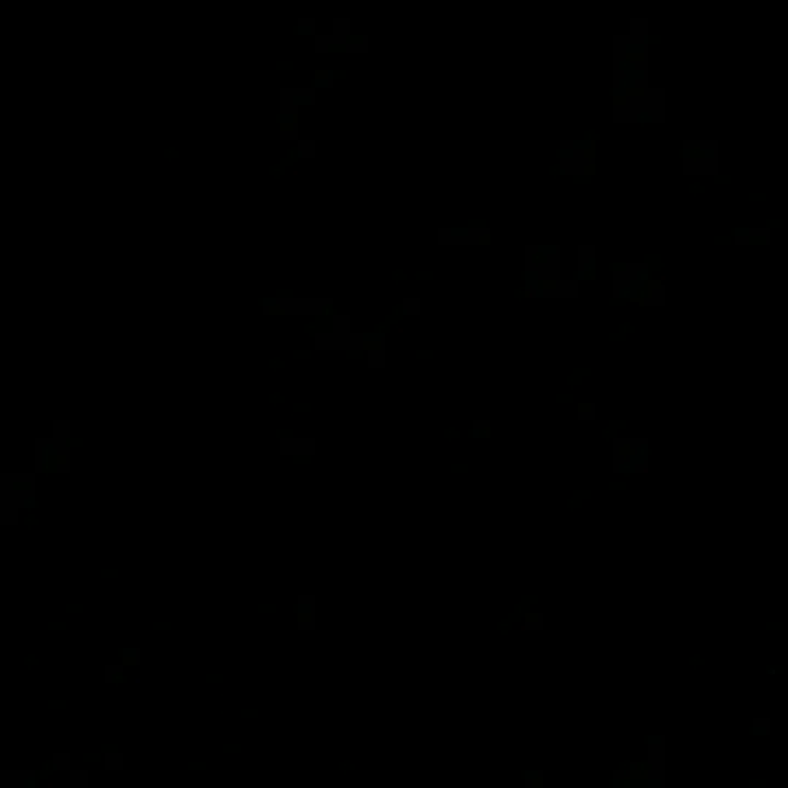 ranyelo8605