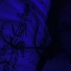 dasha_9682