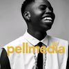 pellmedia0
