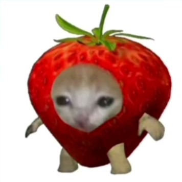 zloy_mortiso4ka0