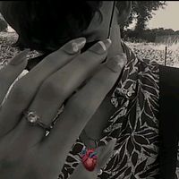 mohandmehaddi