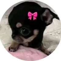 jimenaxitlali4