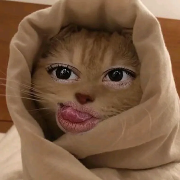 ccylaac