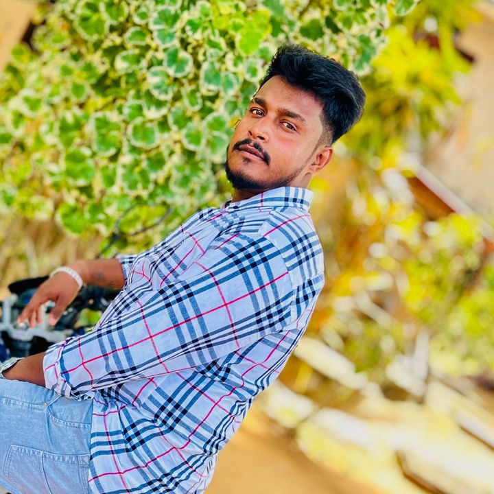 _____loges_____king