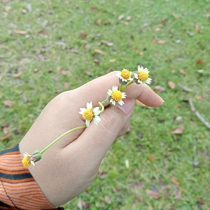 @niabintiali