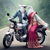 muhammadwaheed4896