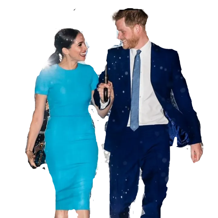 harryandmeghan_