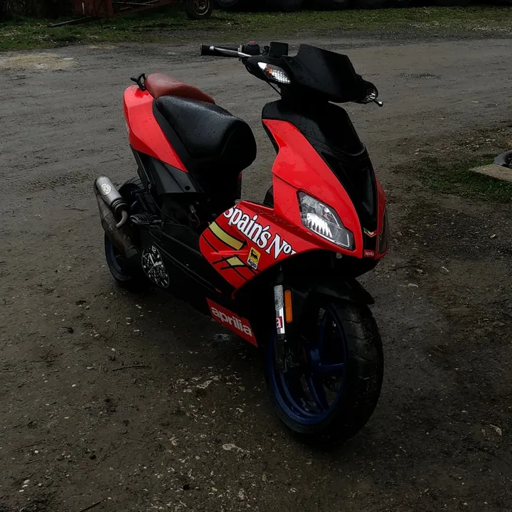 janjic_42