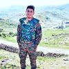 monte11.05