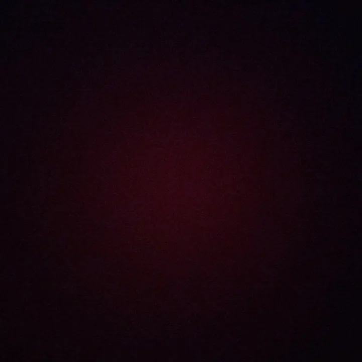 tinaabbasi2
