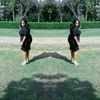 fisiwe6661