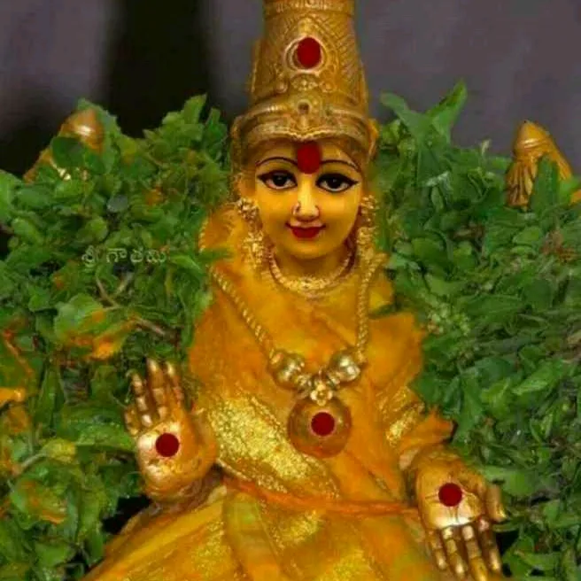 saibalajichandu1
