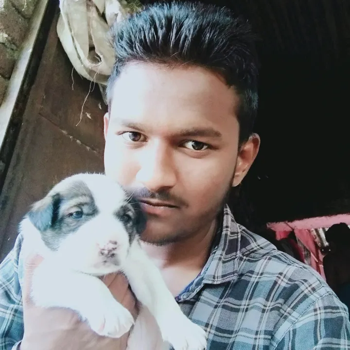pavanlalsare