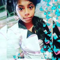 user41541747