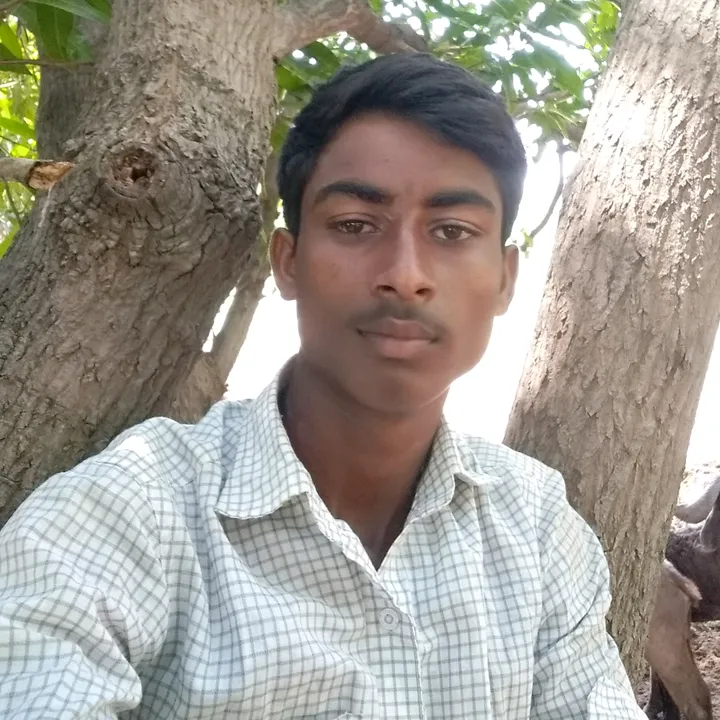 onnalamallesh
