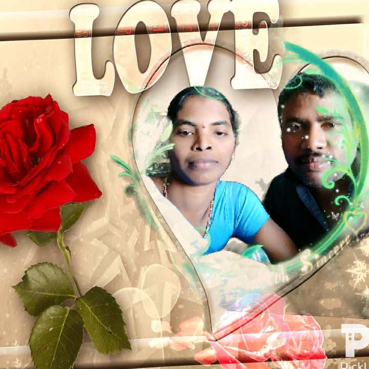 shekarpalsam