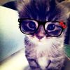 ayse_neval