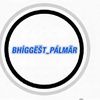 nbgpalmar57