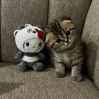 leenalabed3
