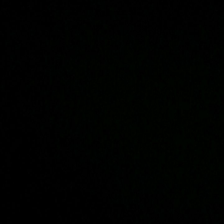 nesrinclr_33