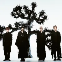 @plastictree_official