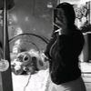 vanee_930