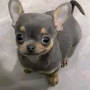 @anisssssss.0