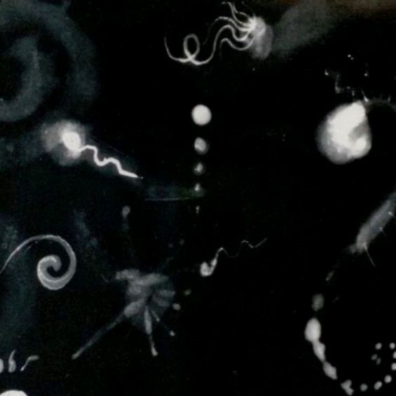★☆ - original sound - bark_moon