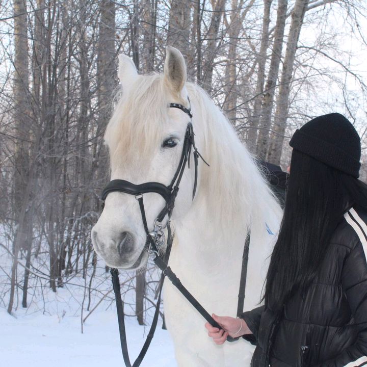 <ХИЛИИ" - 54