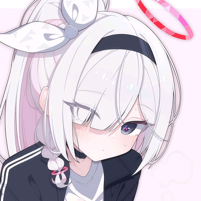 kuroplana.ba