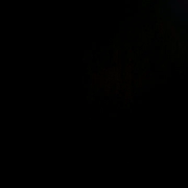 jenishlama777
