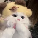 @momo_o1004