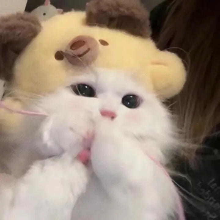 momo_o1004