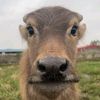 user67682581337315