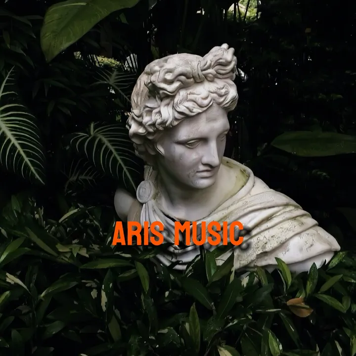 aris29080