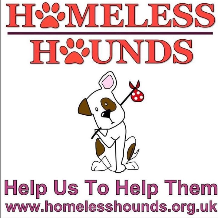homelesshoundsnw