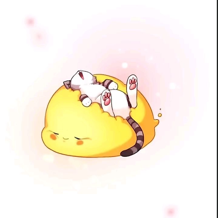 tunoie