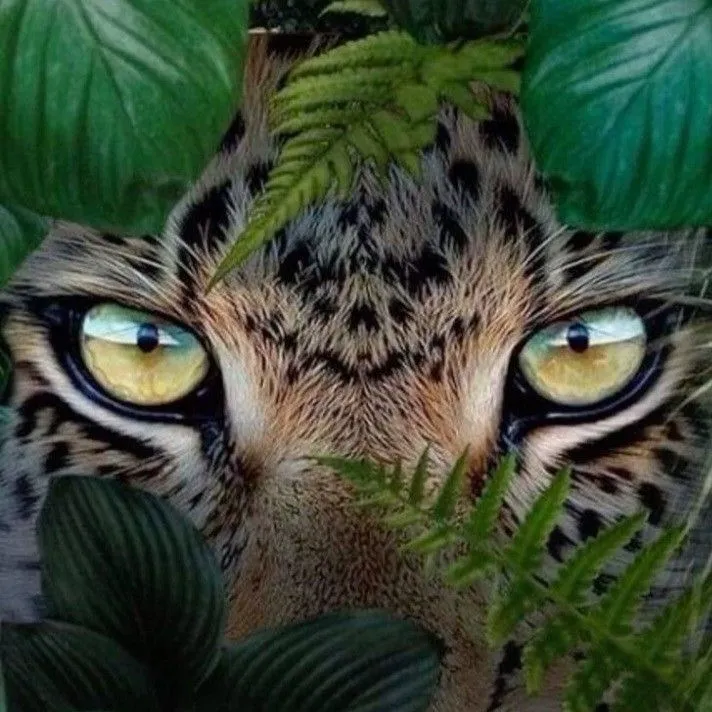 kuralbenimdir