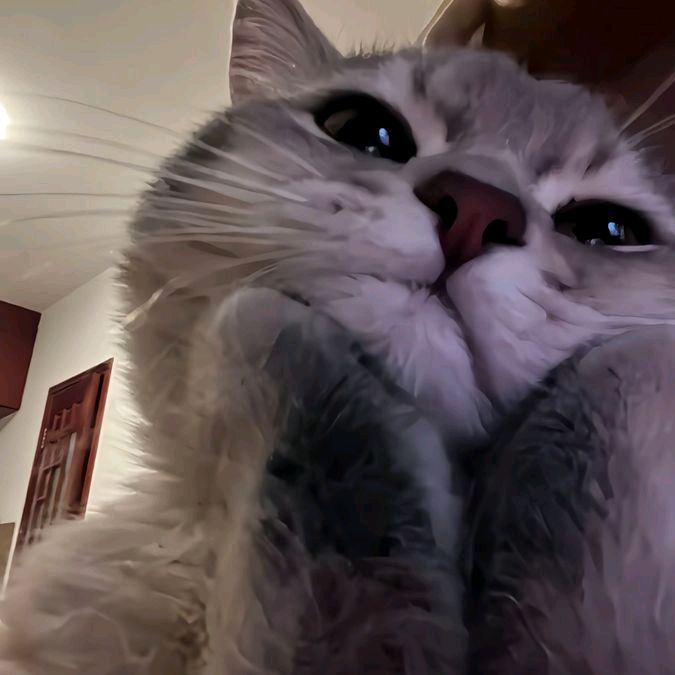 _aniiit4