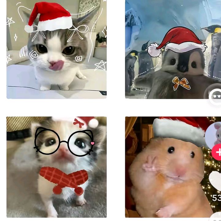 kimshi017
