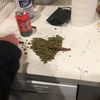 bobi_gavnoeb